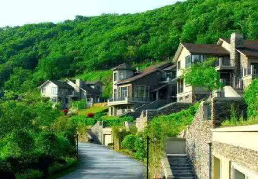 1579615120989977.jpg wangzhan66.jpg